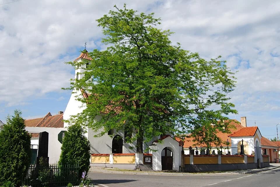 Dobev
