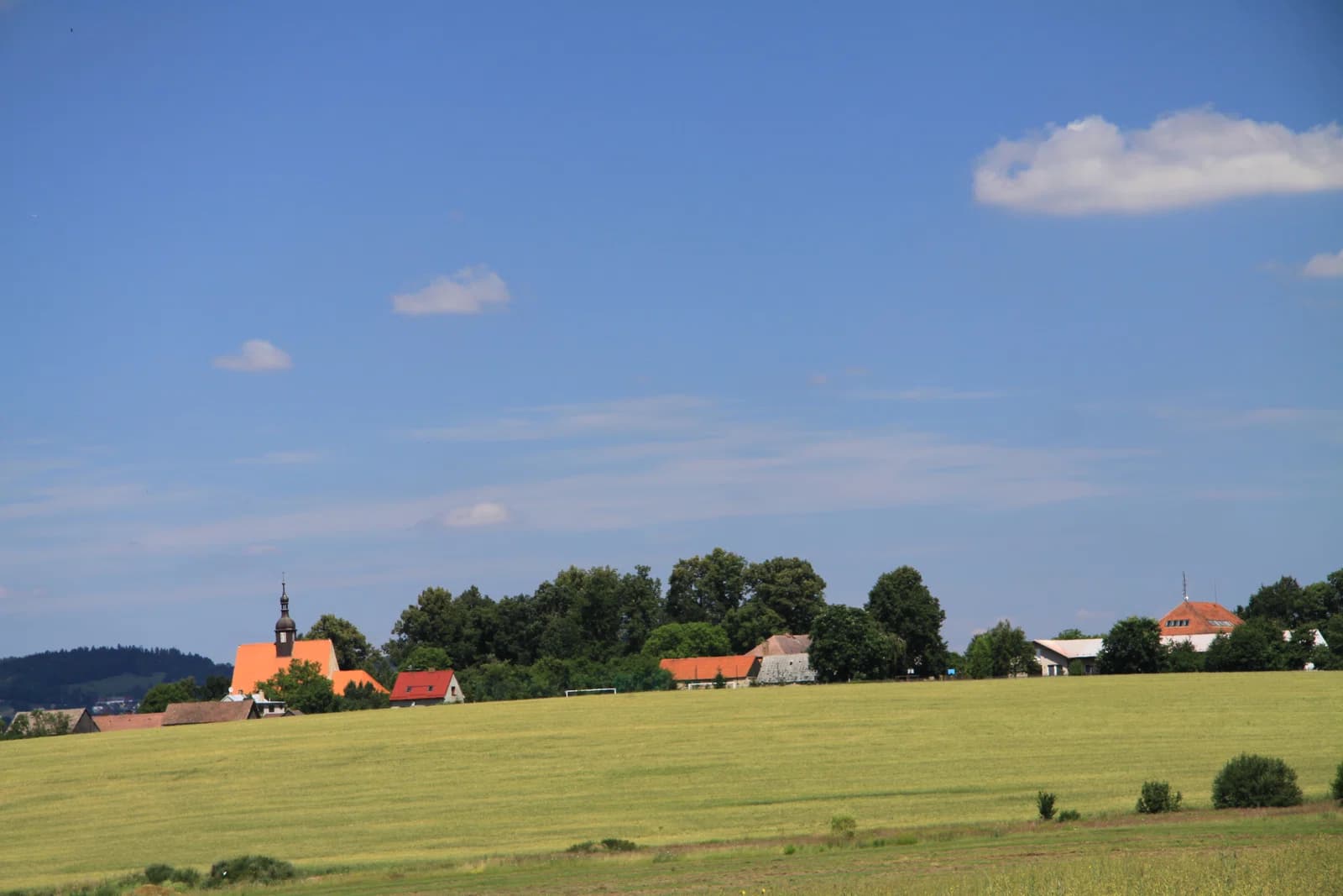 Dražice