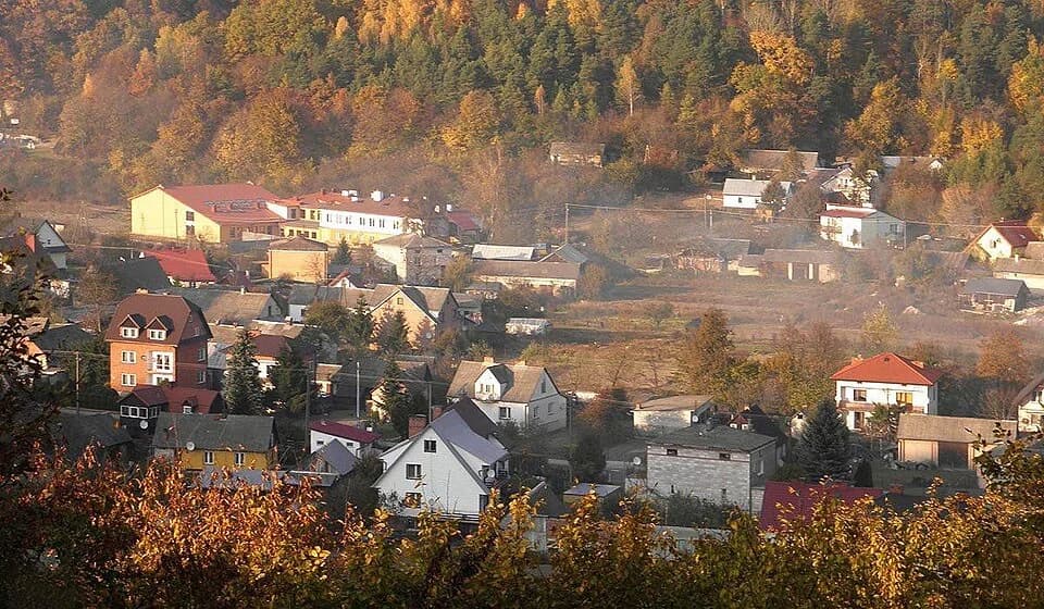 Bochotnica