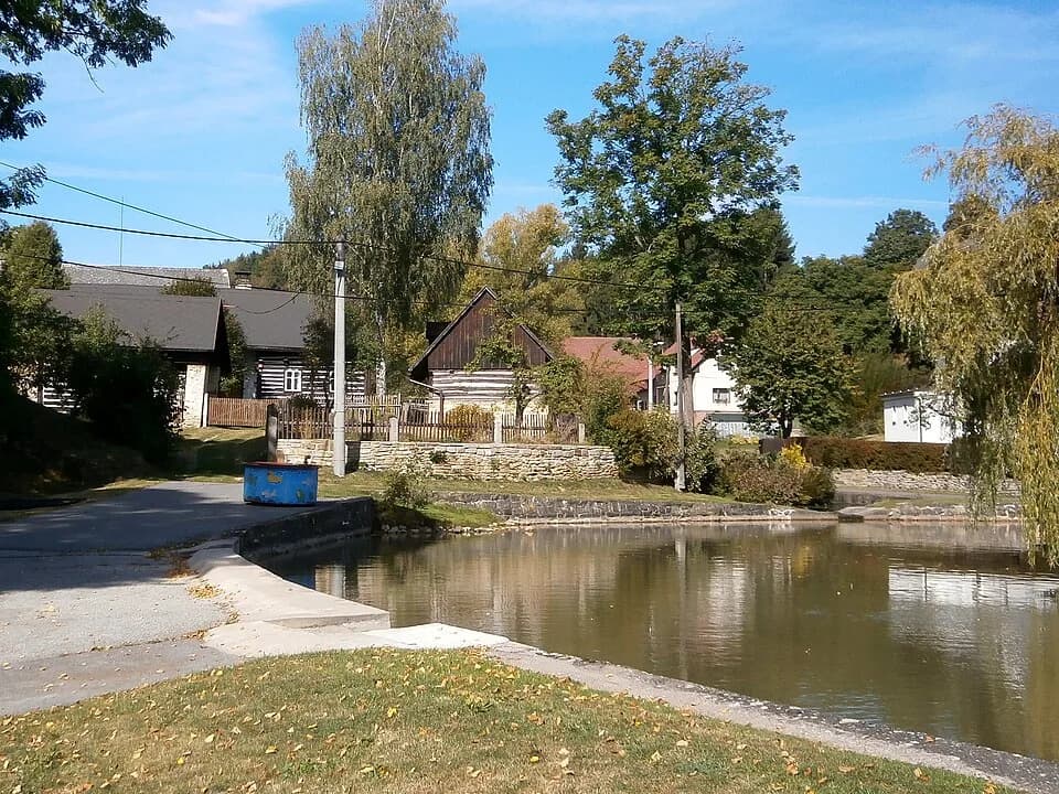 Brzice