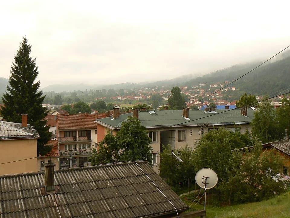 Bosilegrad