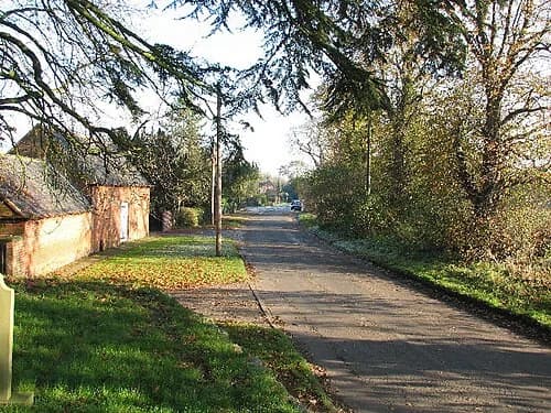 Shelton