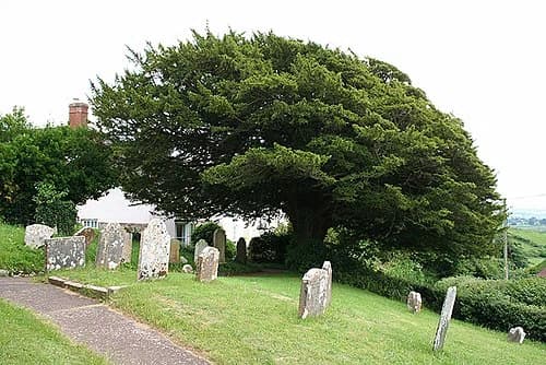 Washfield