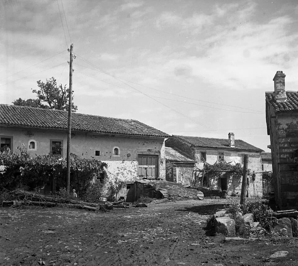 Vatovlje