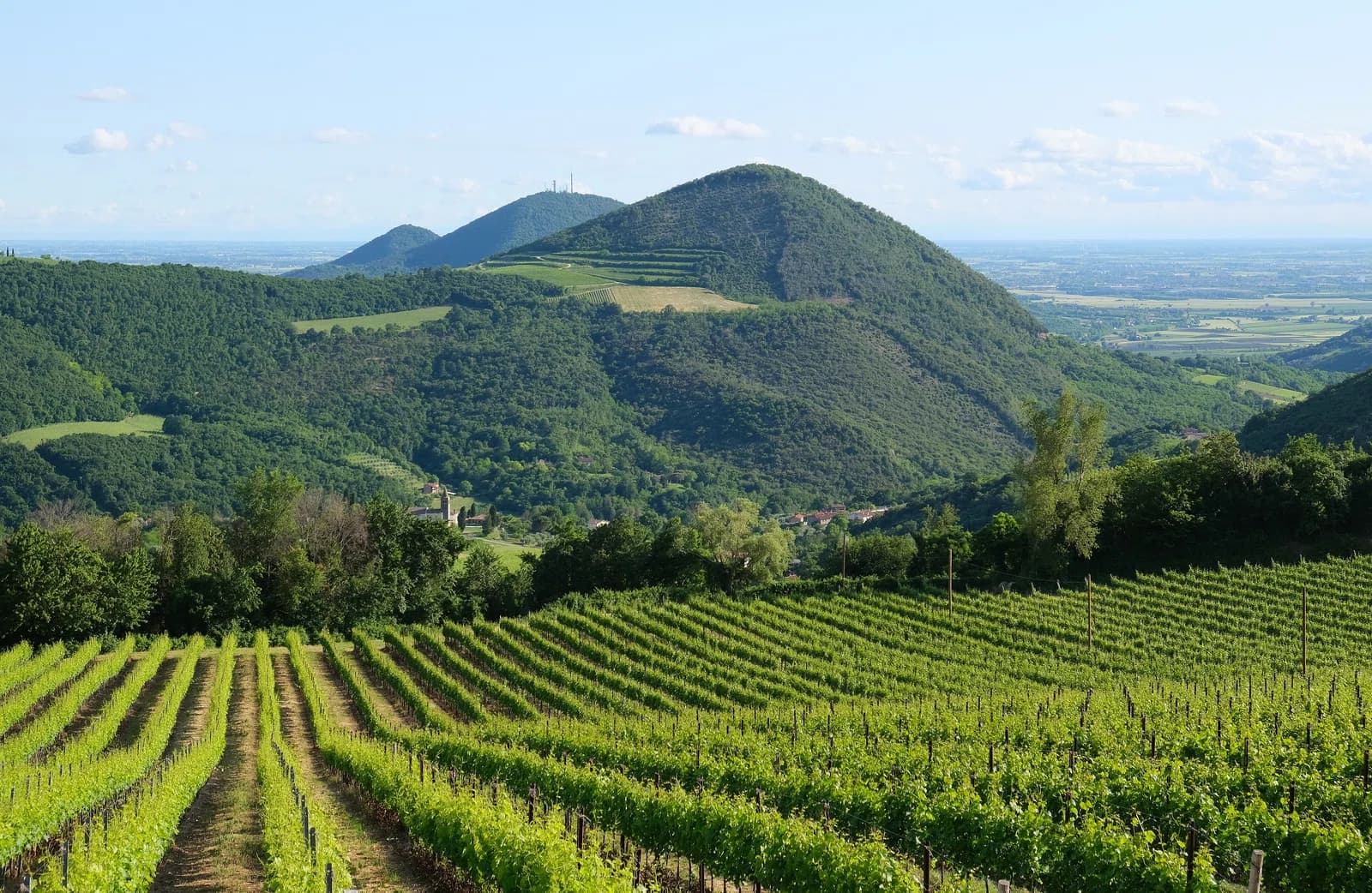 Euganean Hills