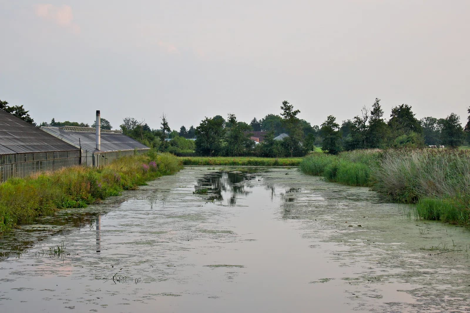 Neuengamme