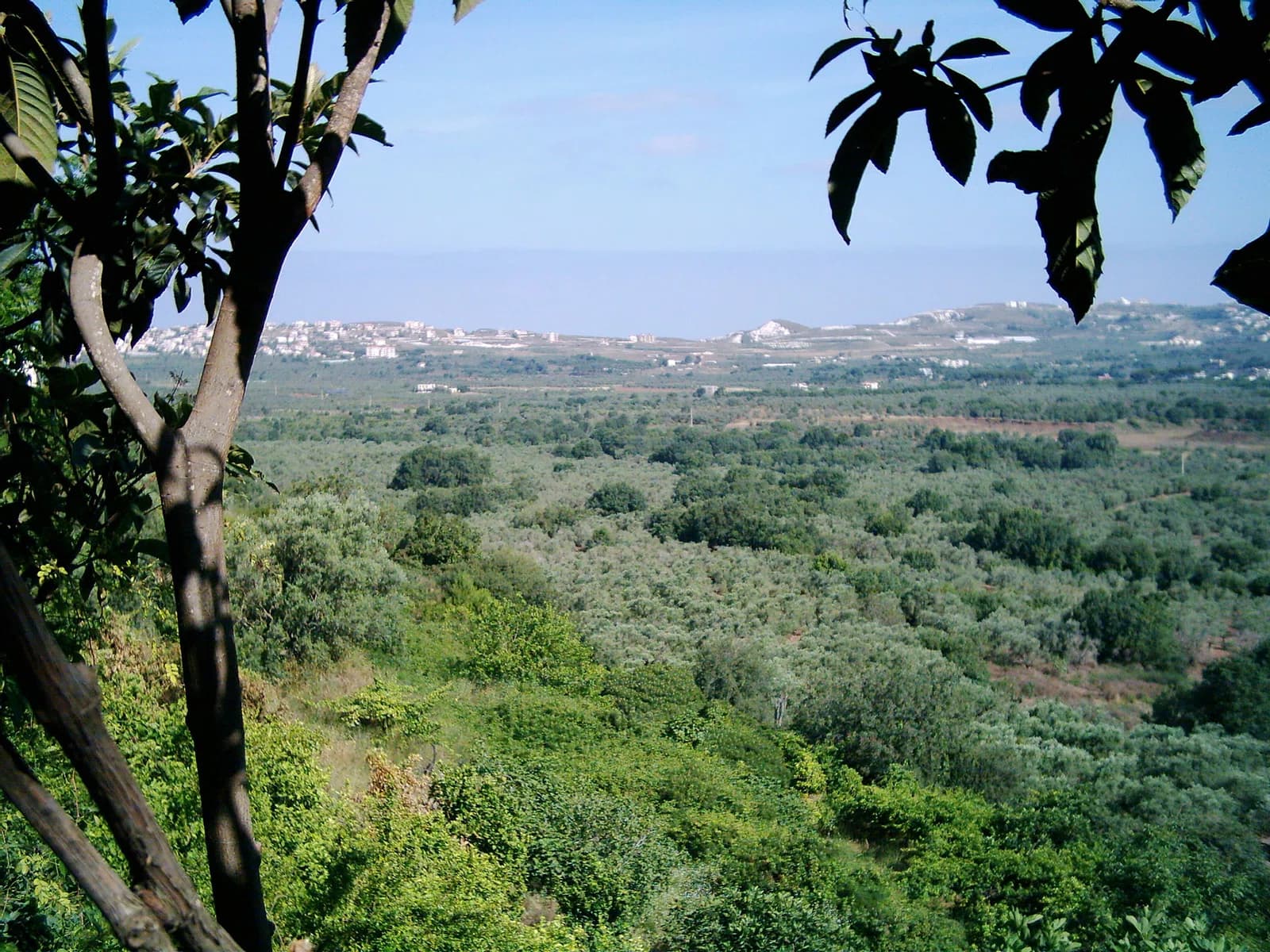Koura District