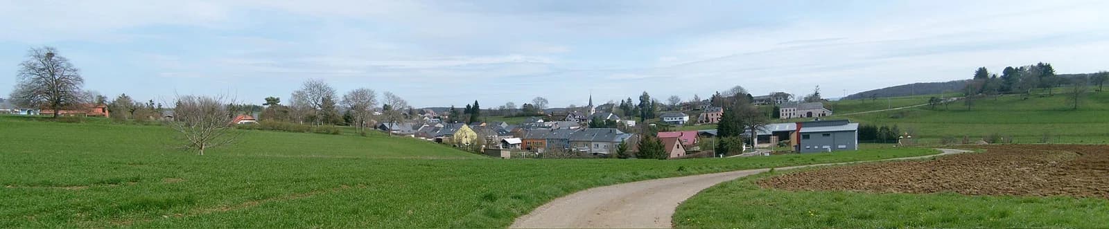 Fingig