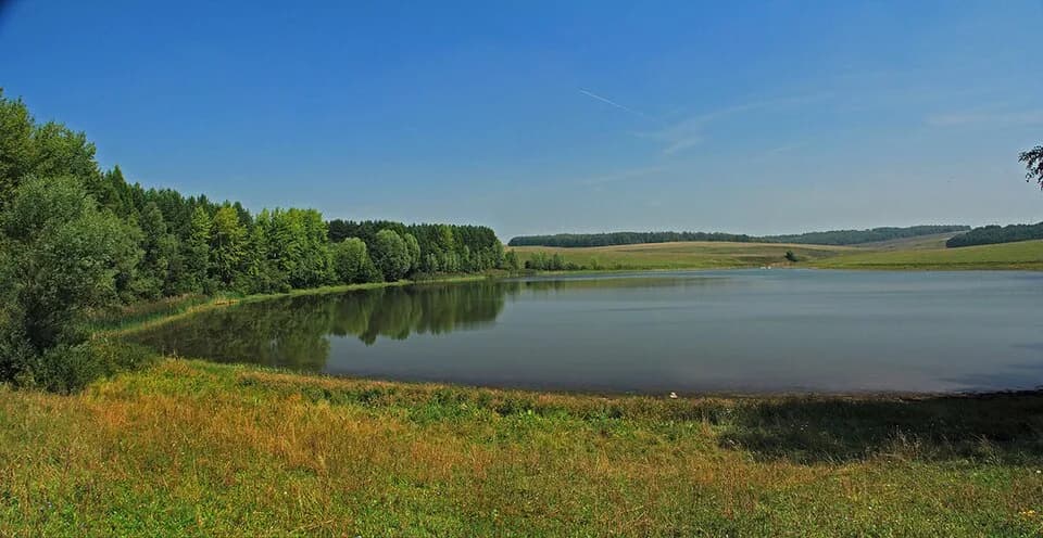 Morgaushsky District
