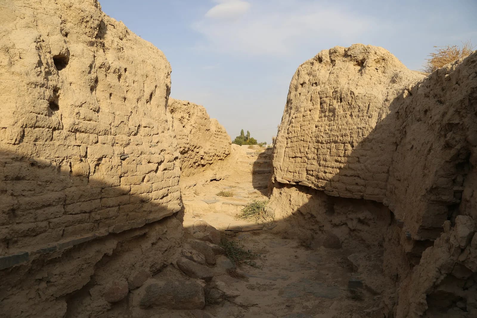 Talas District