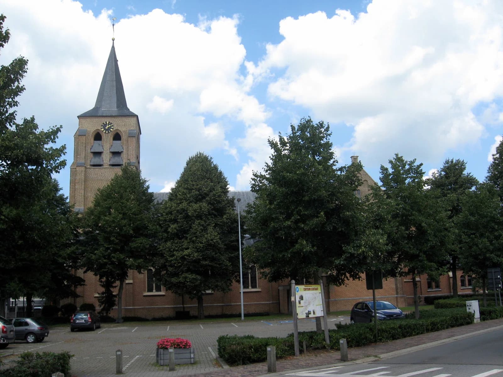 Lichtaart