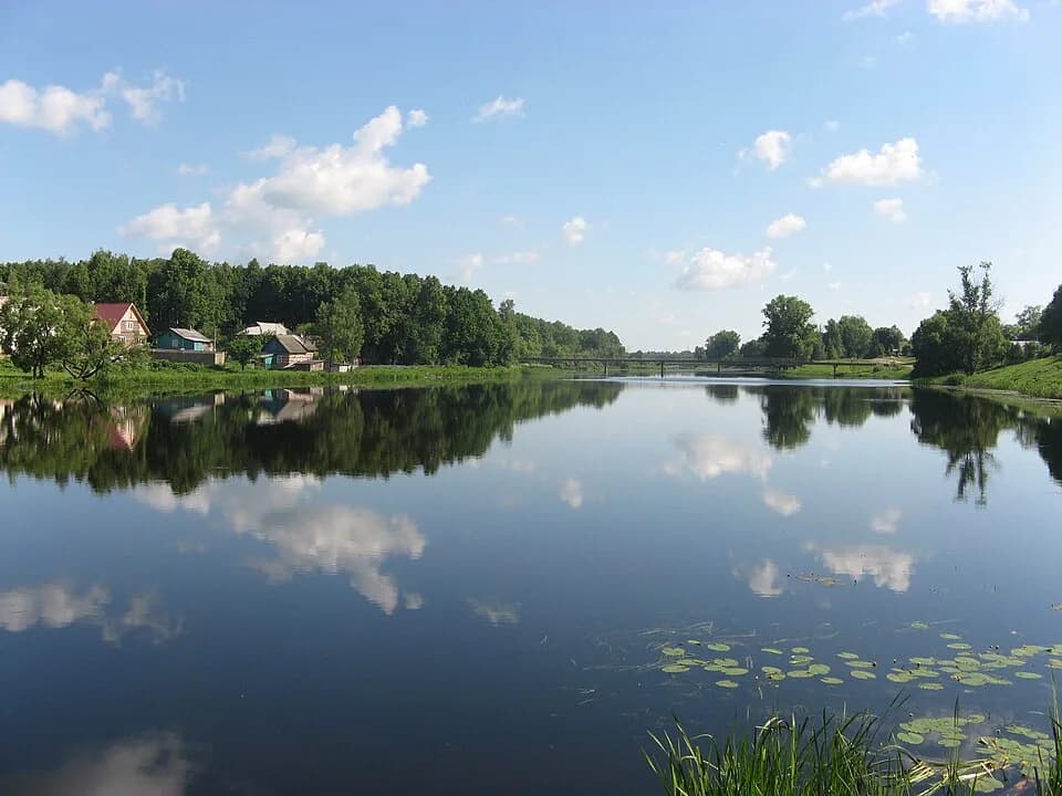Yelninsky District