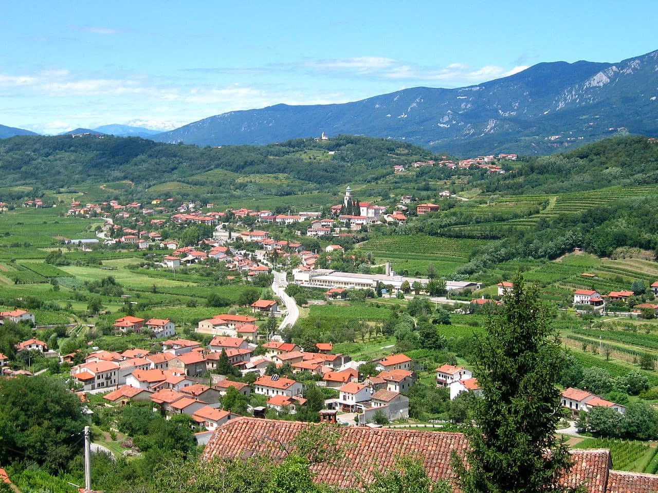 Branik