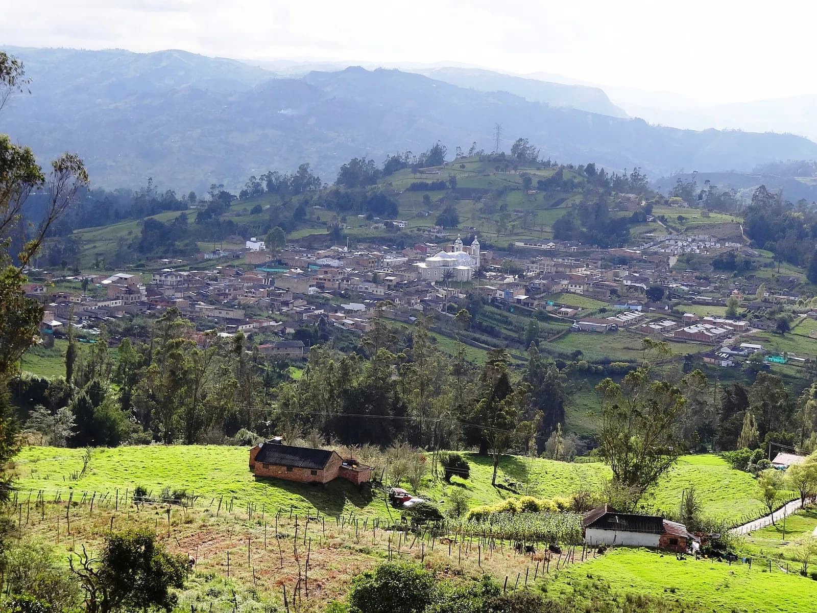 Ciénega