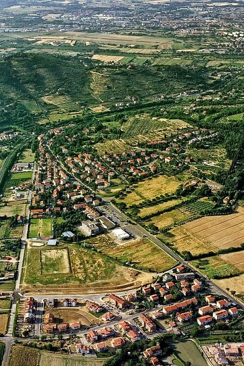 Olmo
