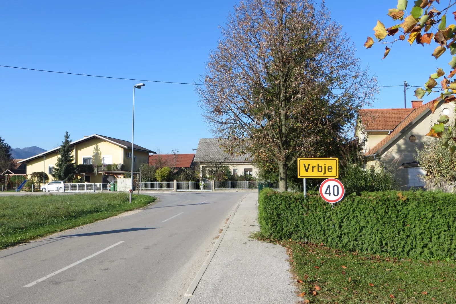 Vrbje