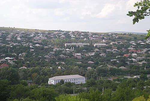 Bardar