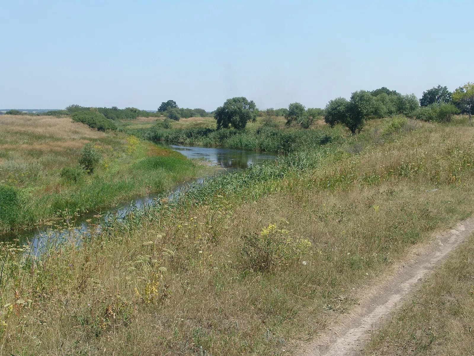 Vasylkivka Raion