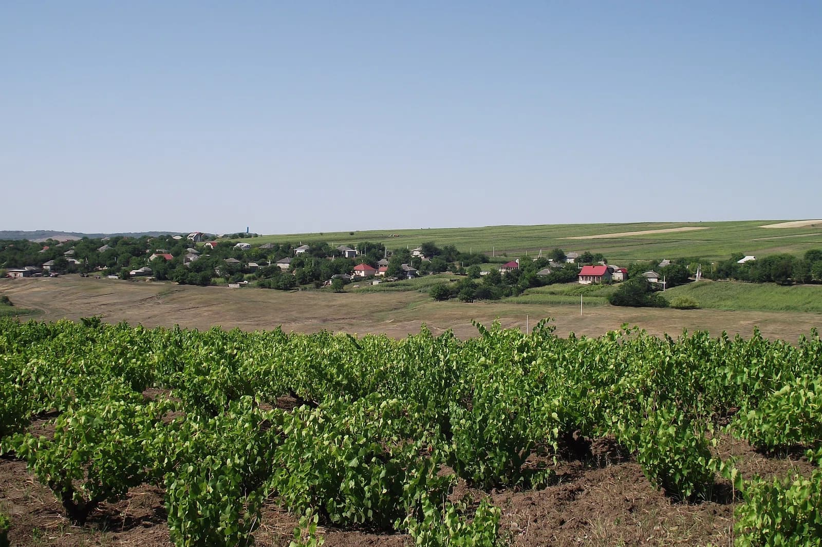 Copăceni