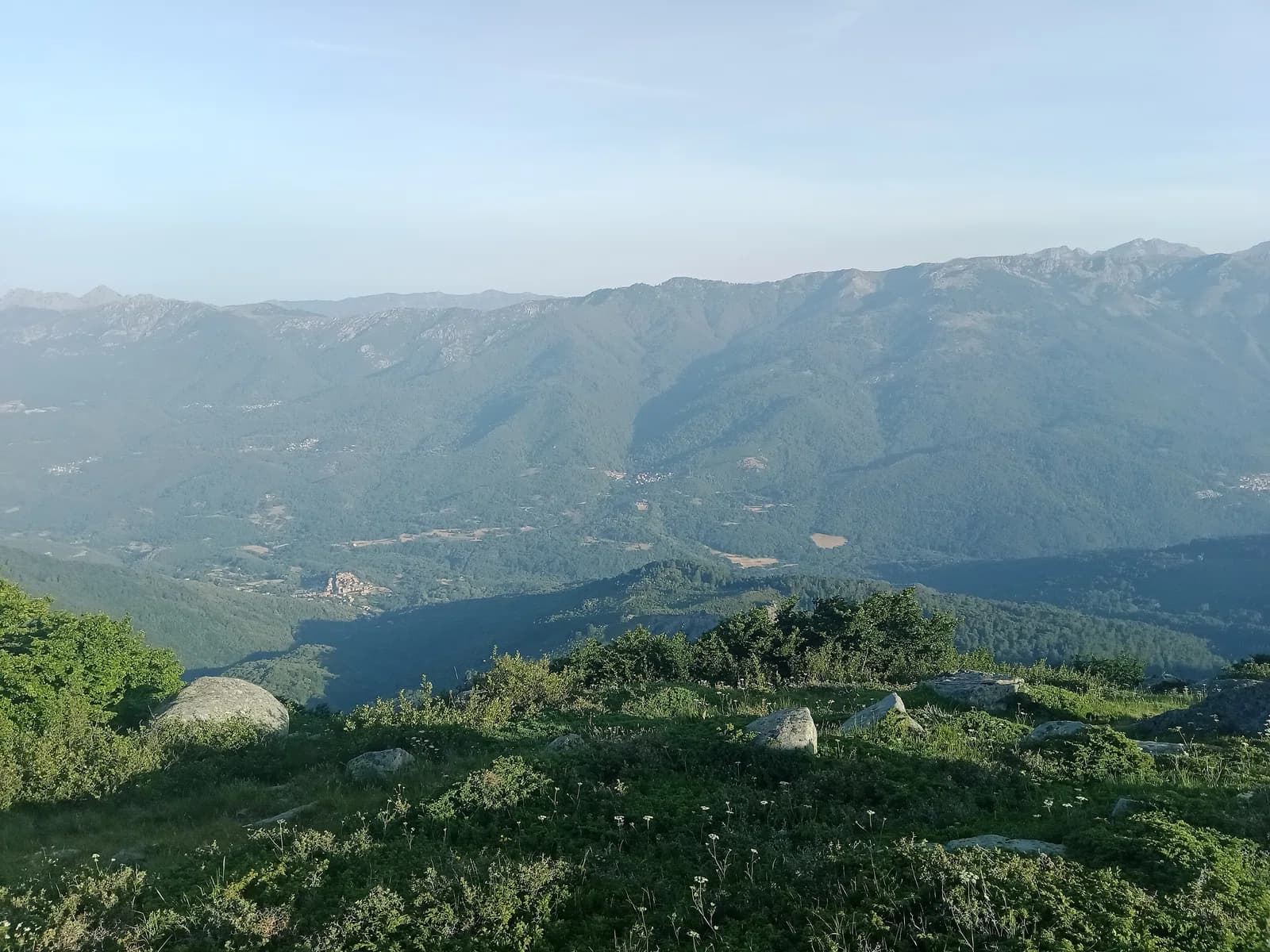 Ciamannacce