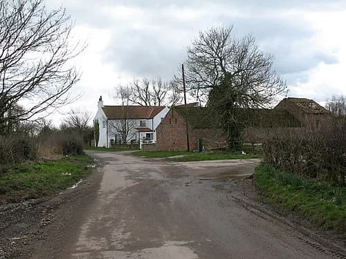 Catton