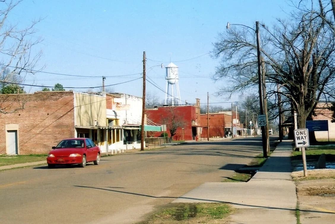 Cotton Plant