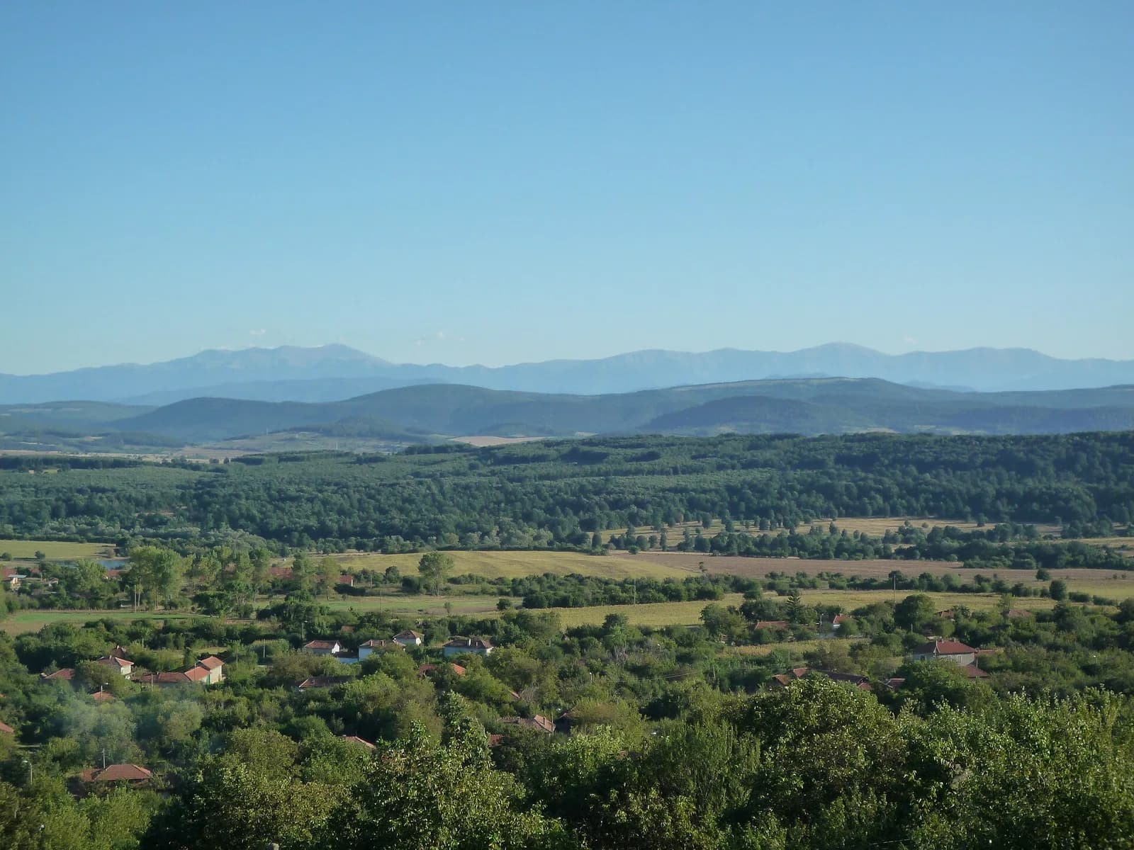 Brestovo