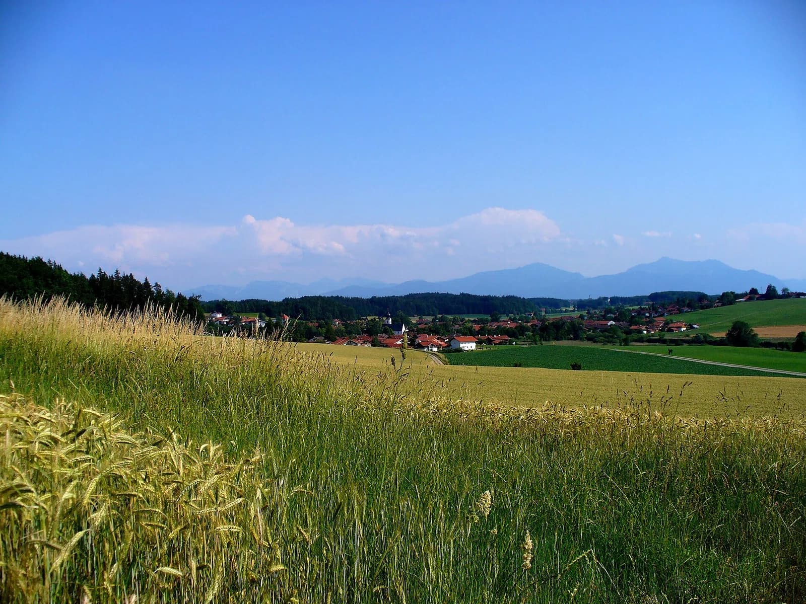 Truchtlaching