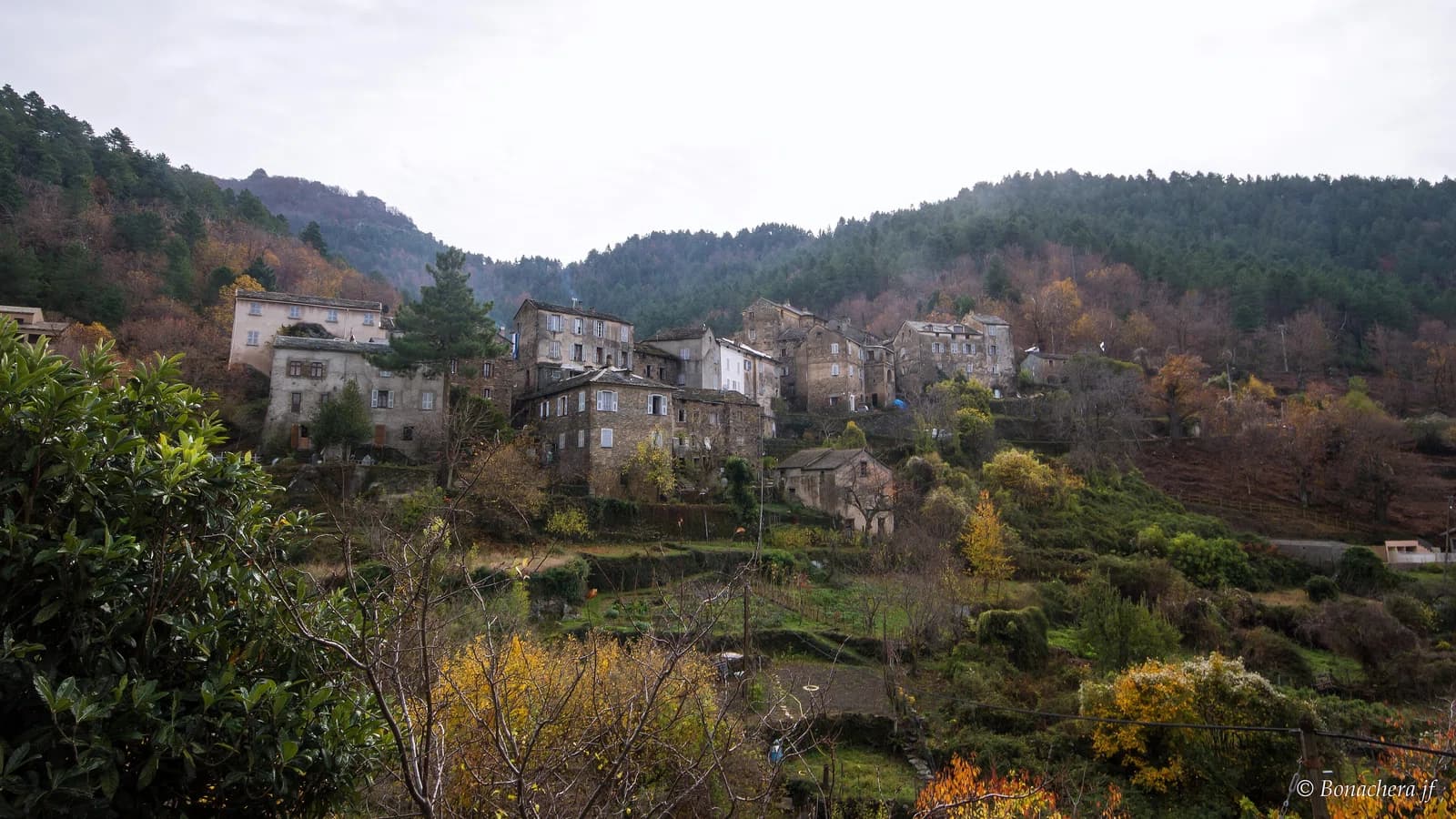 Saliceto