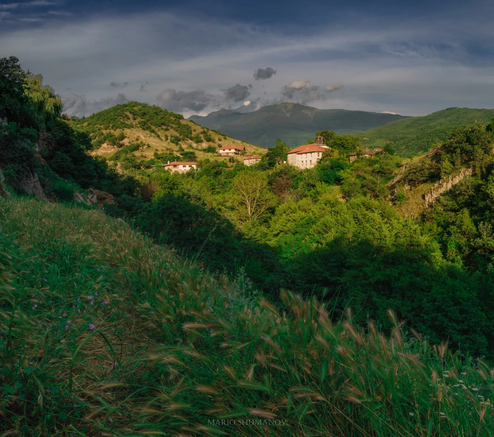 Vlahi