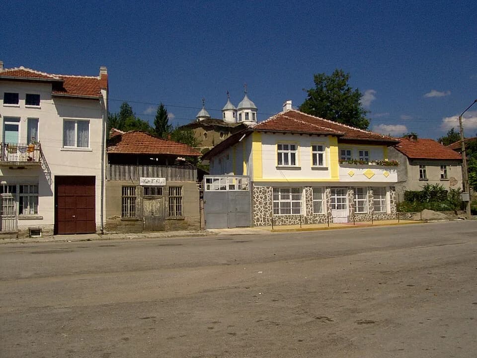 Radyuvene