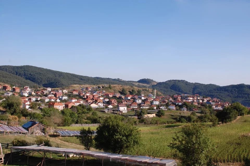 Ribnovo