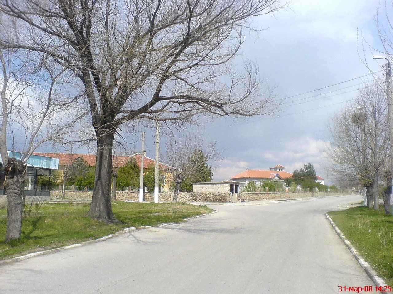 Tsar Asen