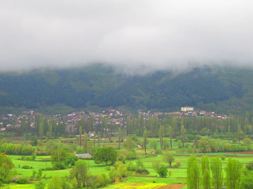 Variko