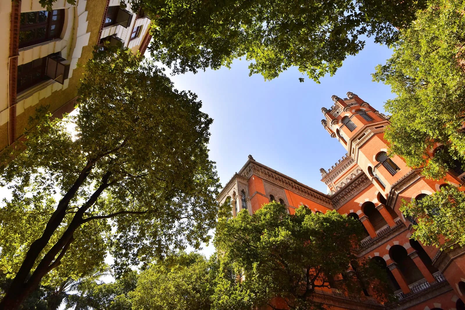 Oswaldo Cruz Foundation