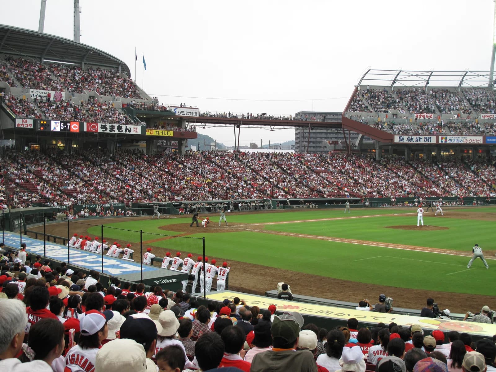 Hiroshima Toyo Carp