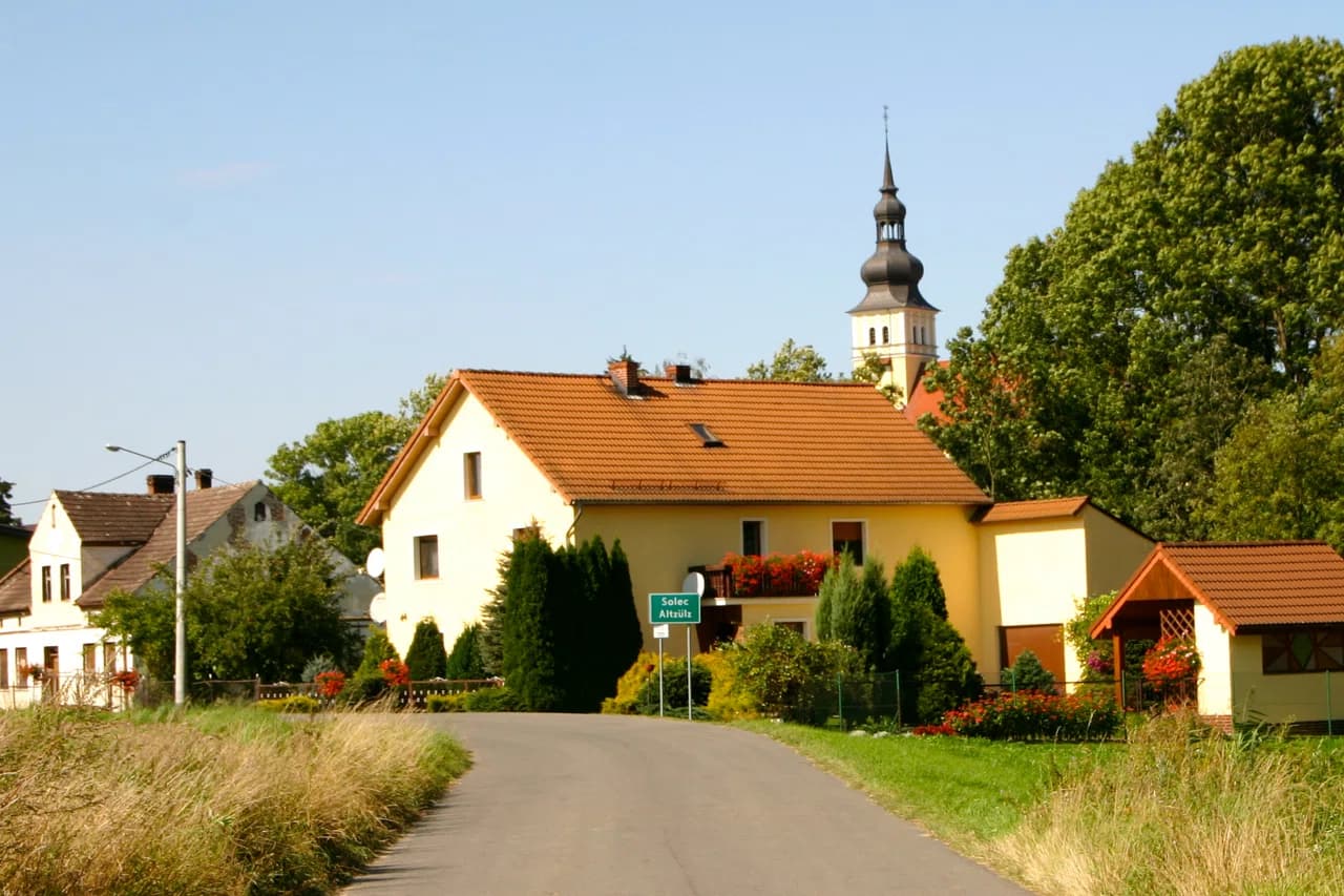 Altzülz