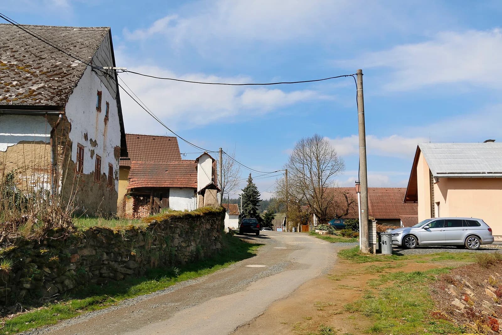 Pasečnice