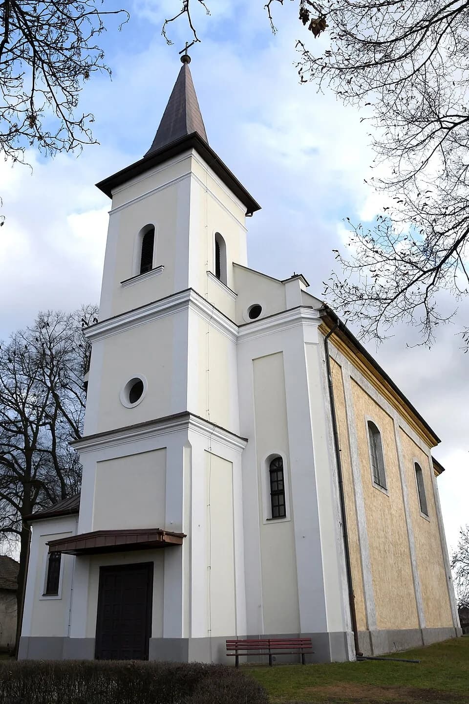 Szirmabesenyő