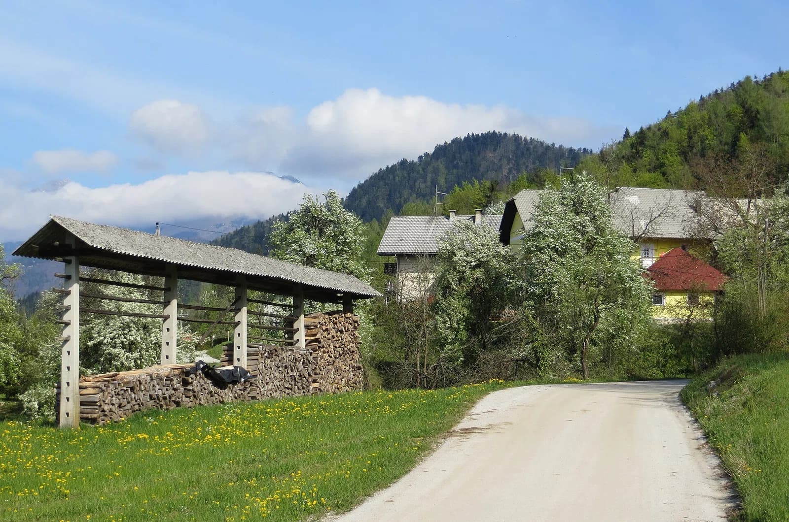 Stiška Vas