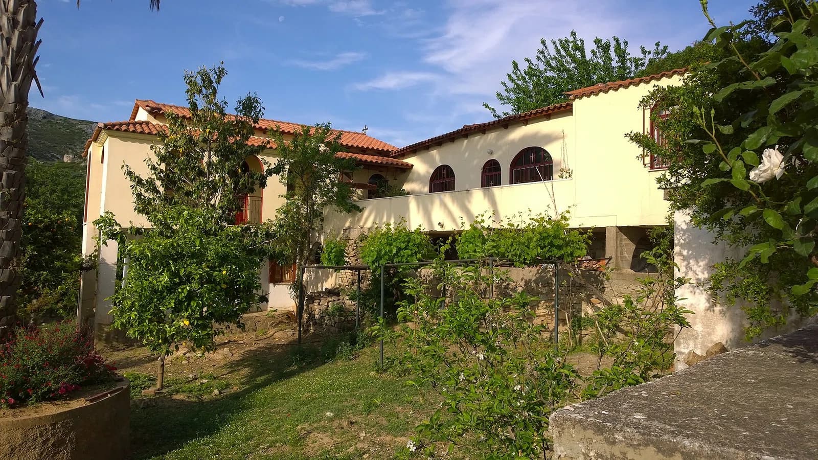 Vranas