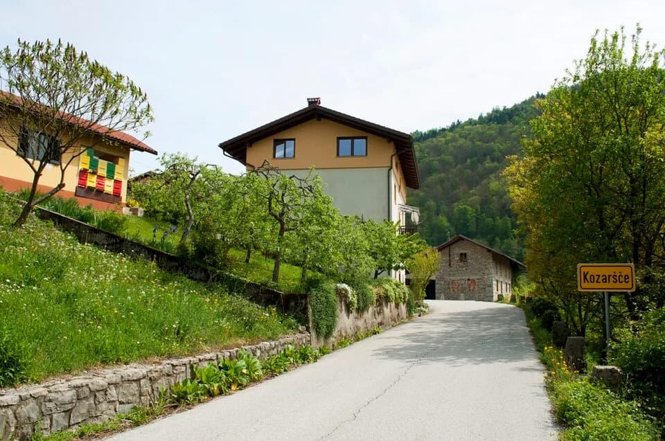 Kozaršče