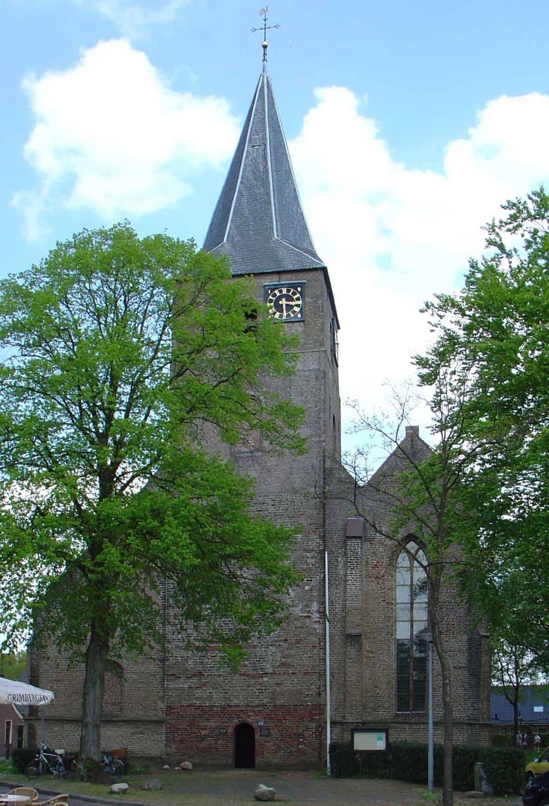 Diever