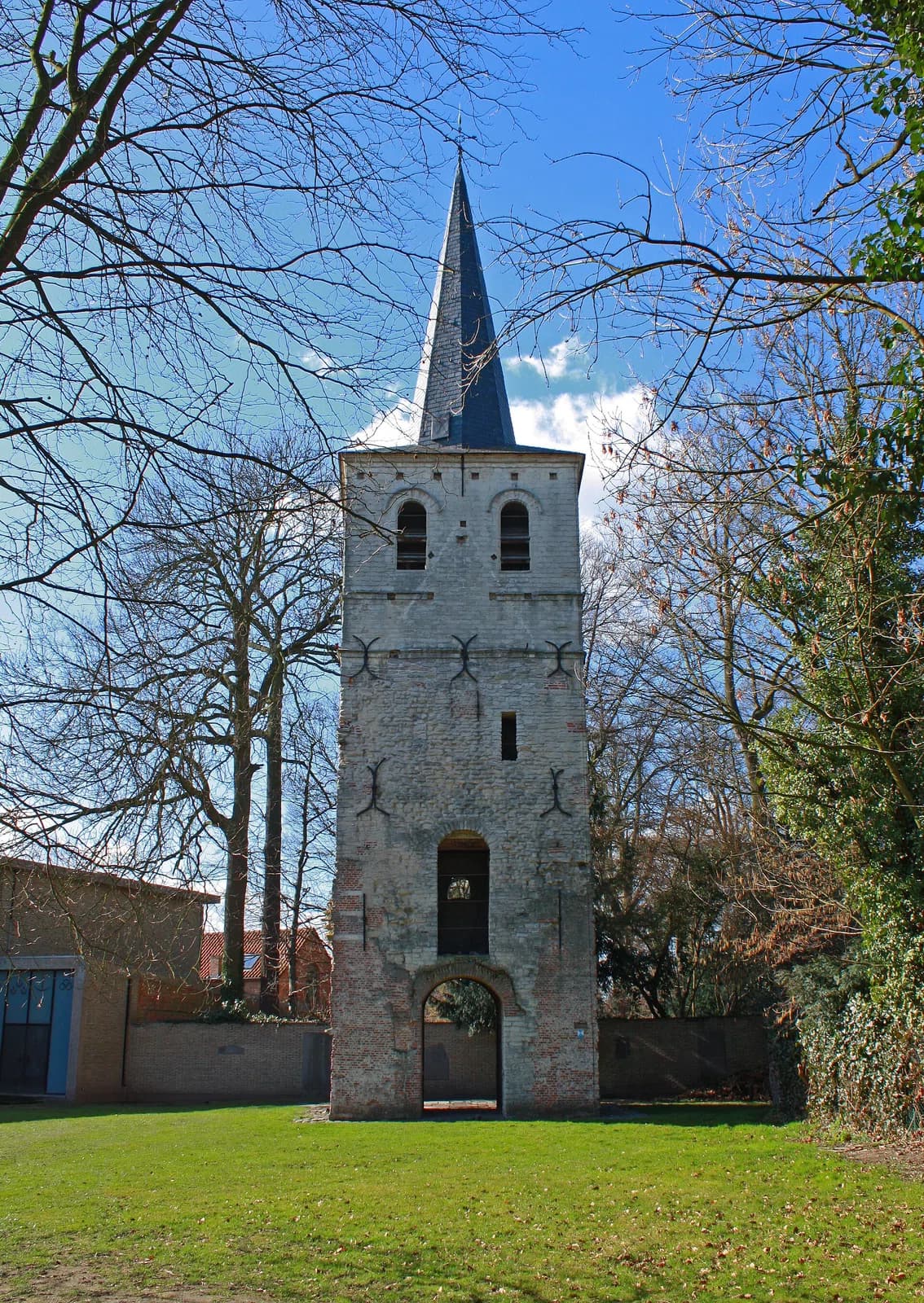 Muizen