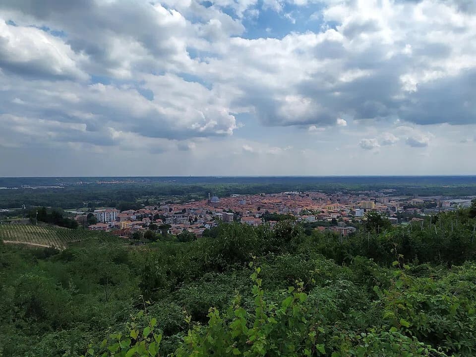 Gattinara