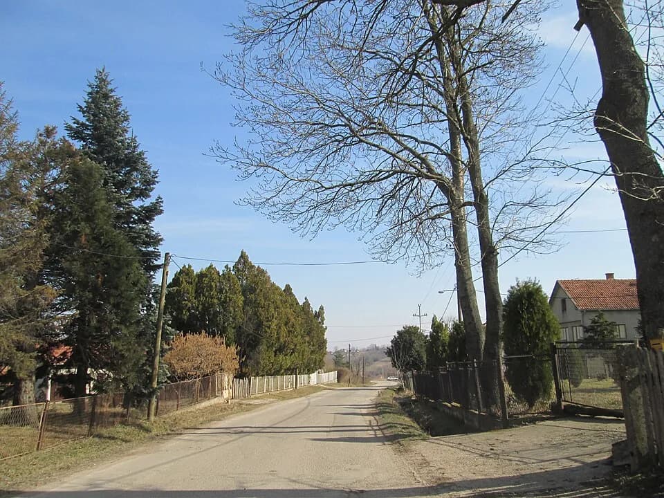 Popović