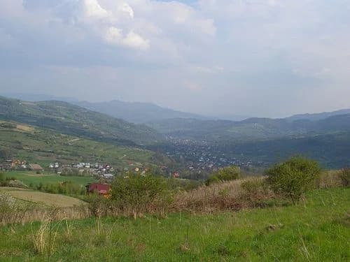 Kamienica