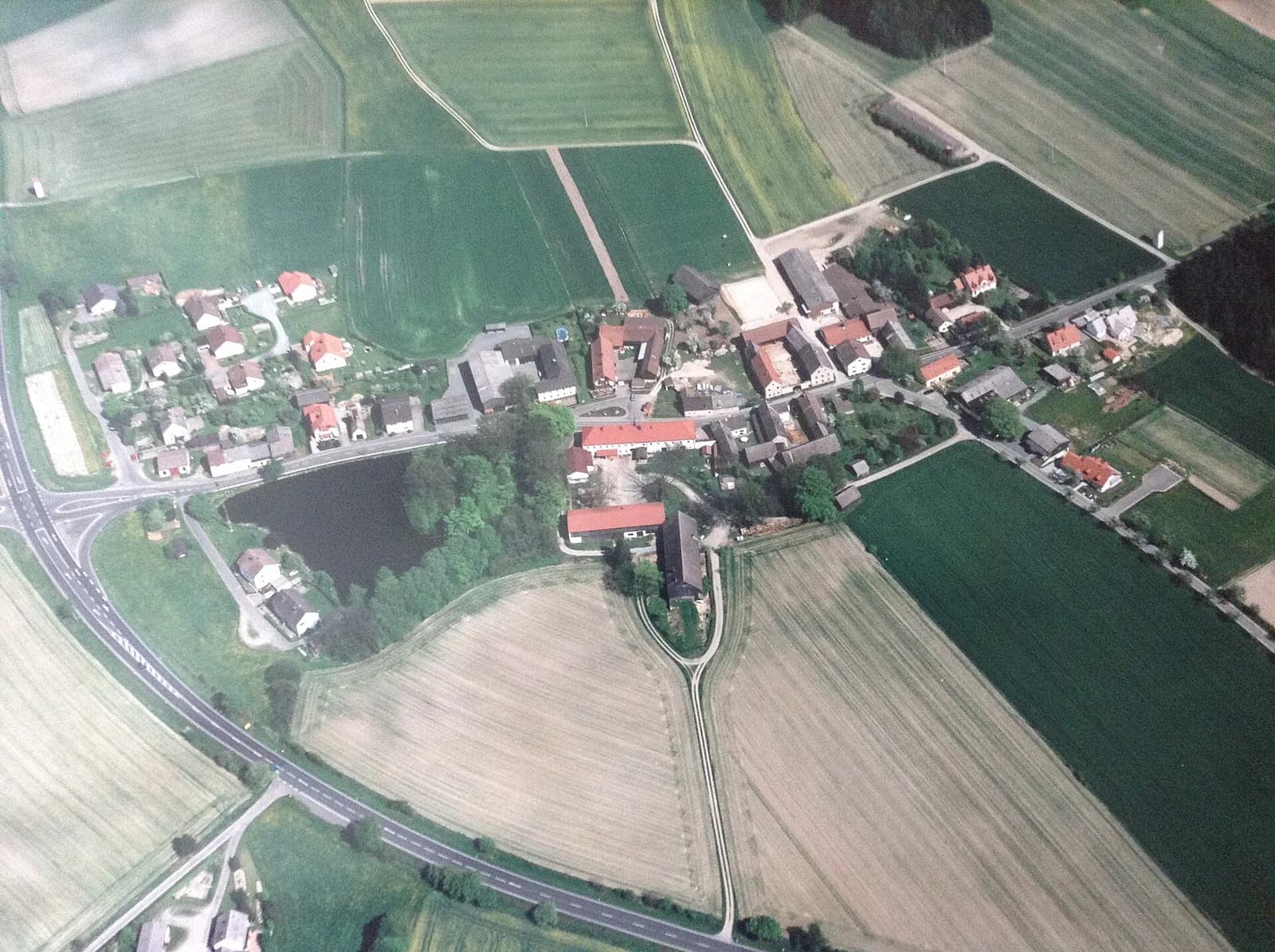Schönficht