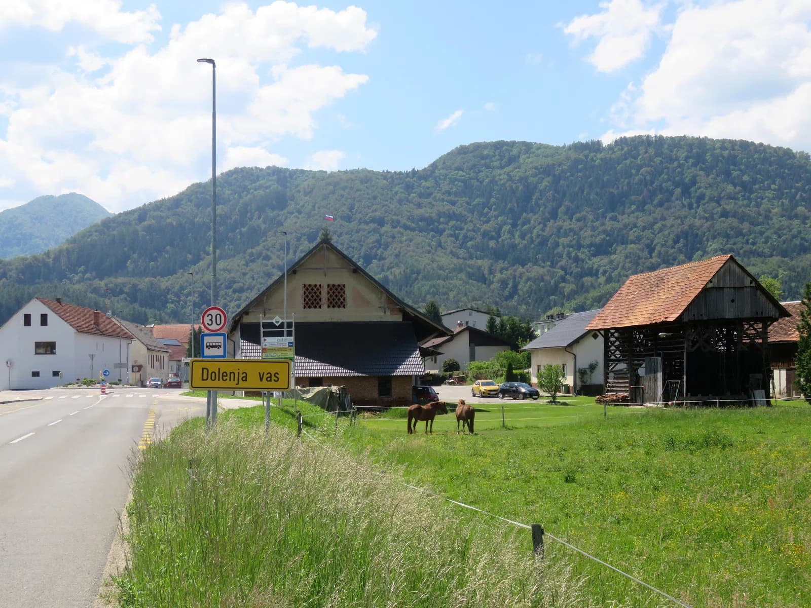 Dolenja vas