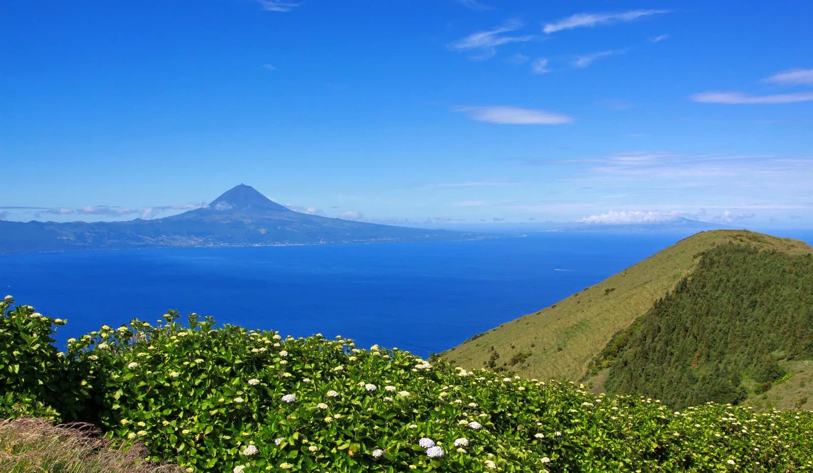 Azores